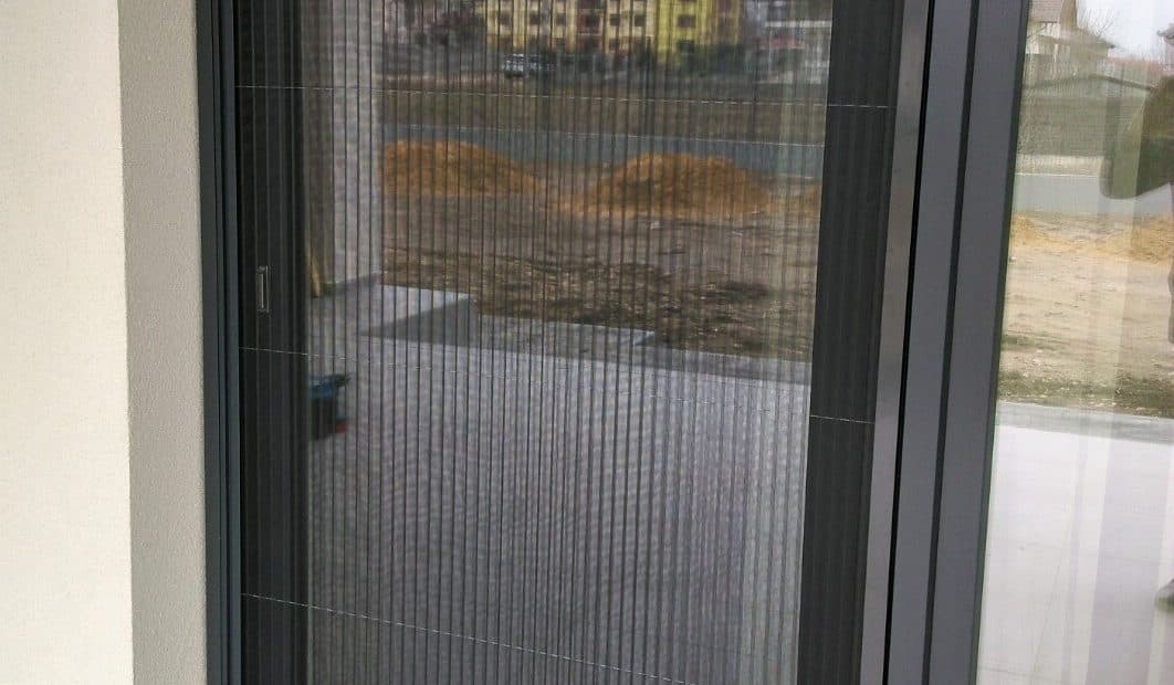 Plase de insecte — Rolete Oradea