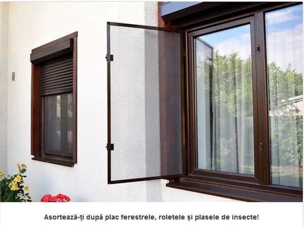 Plase de insecte — Rolete Oradea